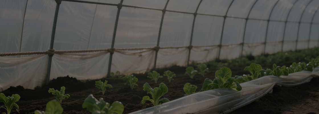 Chemicaliën voor dagelijks gebruik